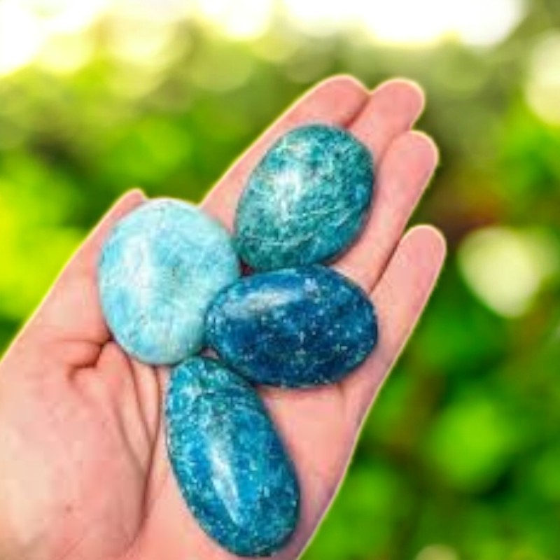 Apatite Palm Stone