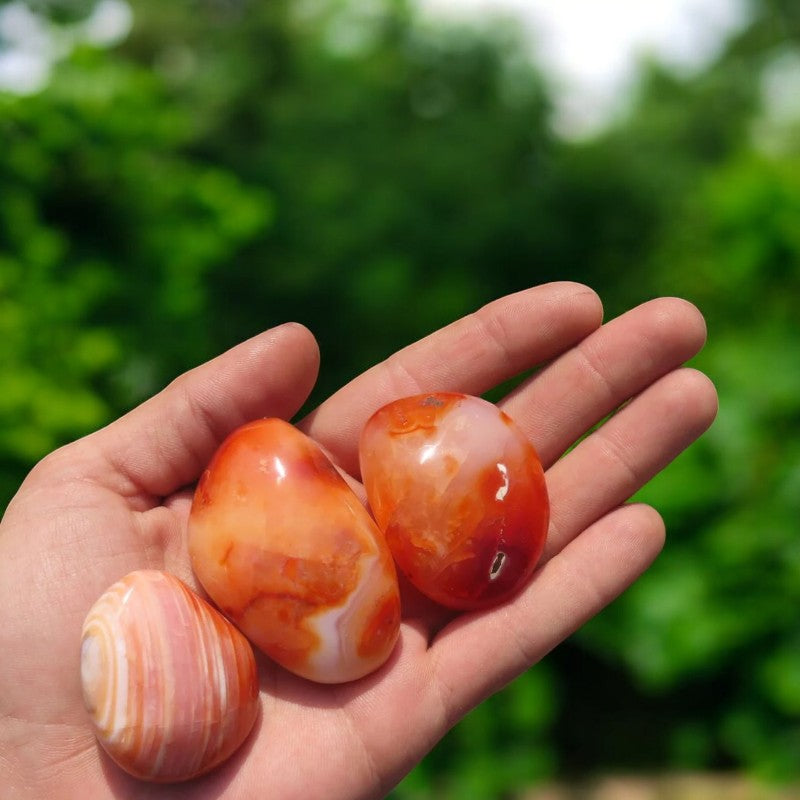 Carnelian Palm Stone