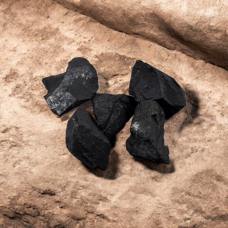 Shungite Raw Stones