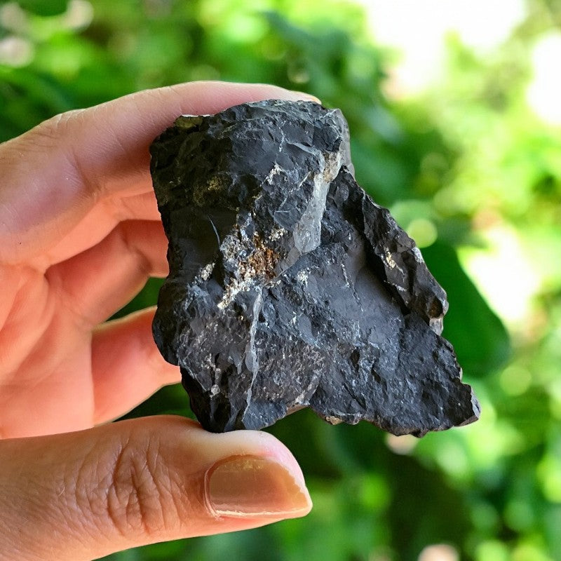 Shungite Raw Stones