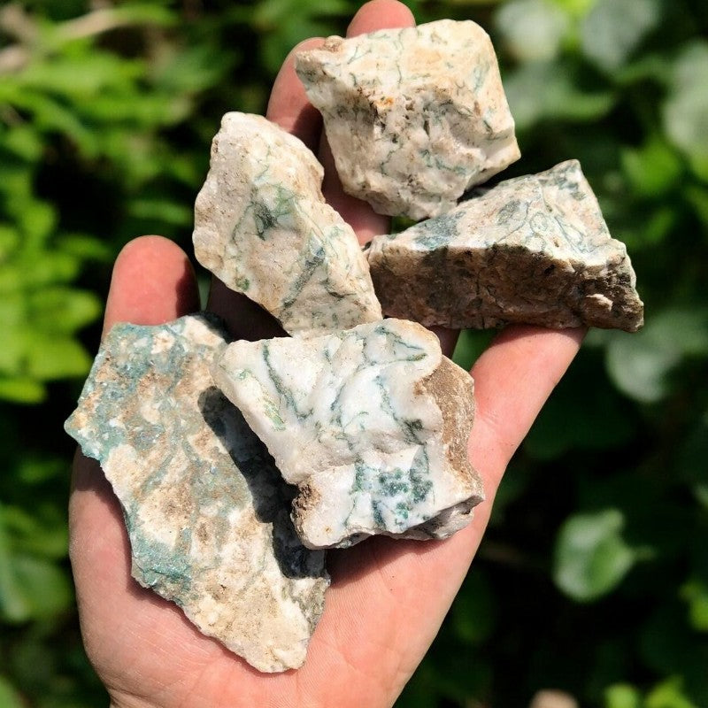 Tree Agate Raw Stones