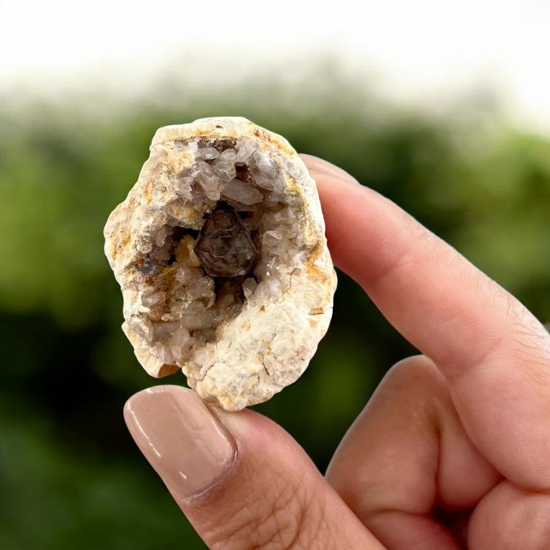Smoky Quartz Geode