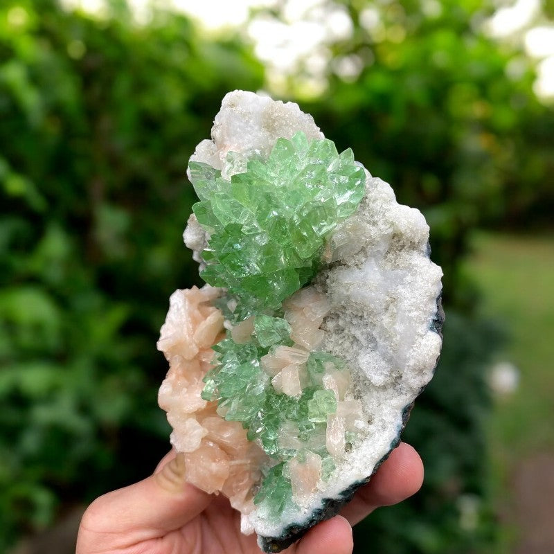Apophyllite Geode