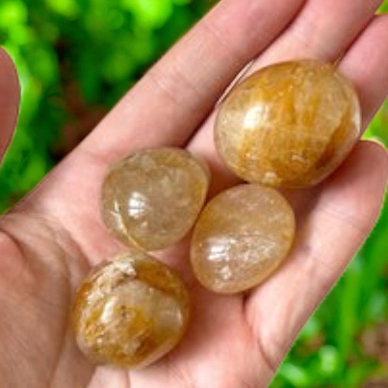 Golden Healer Tumbled Stone
