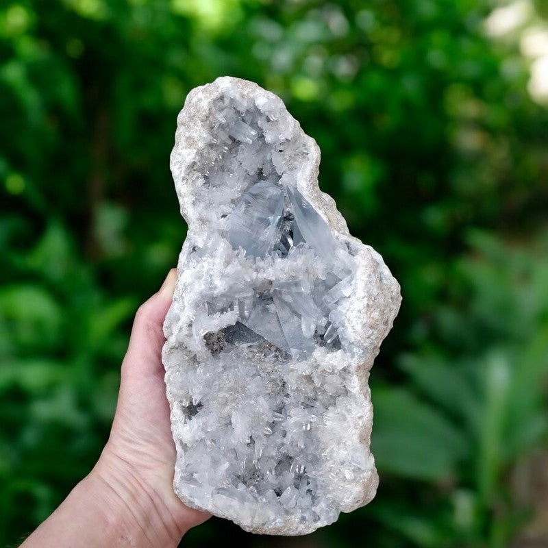 Celestite Geode