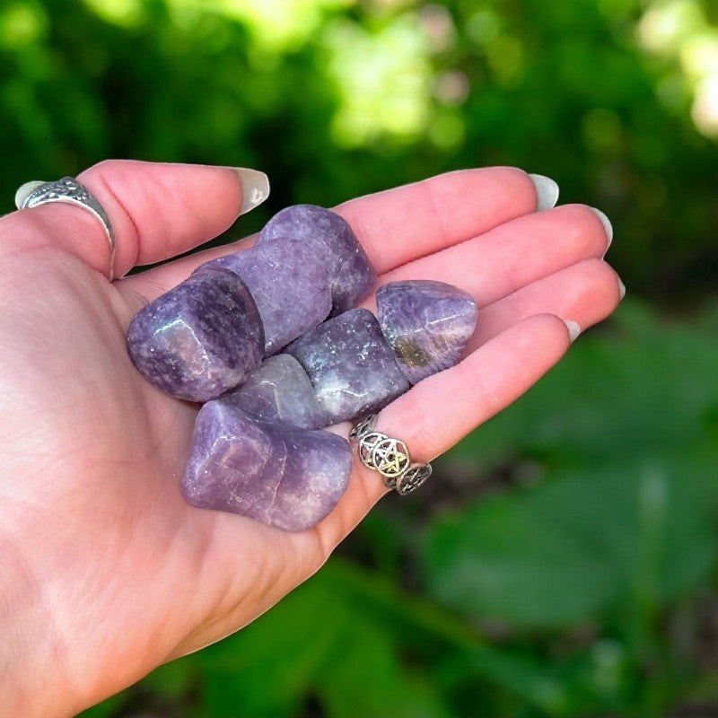 Lepidolite Tumbled Stone