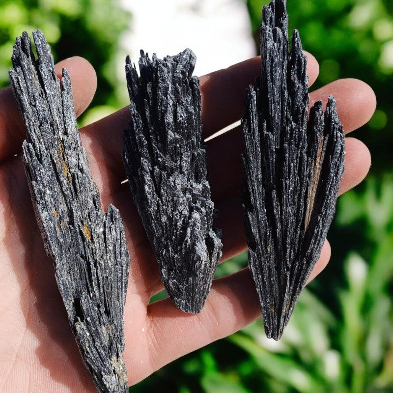 Black Kyanite Raw Stones