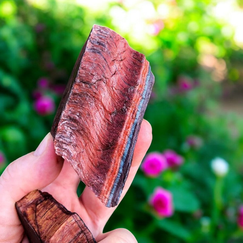 Red Tiger's Eye Raw Stones