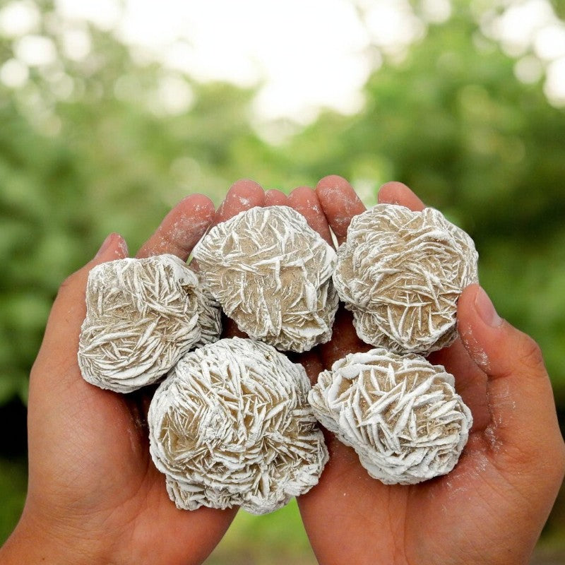 Desert Rose Selenite